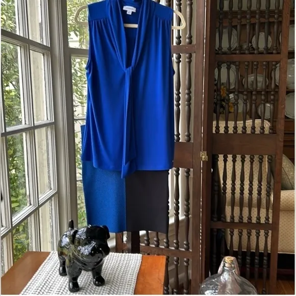Alexander Wang Minimalist Designer Collection Colorblock Skirt Blue Black