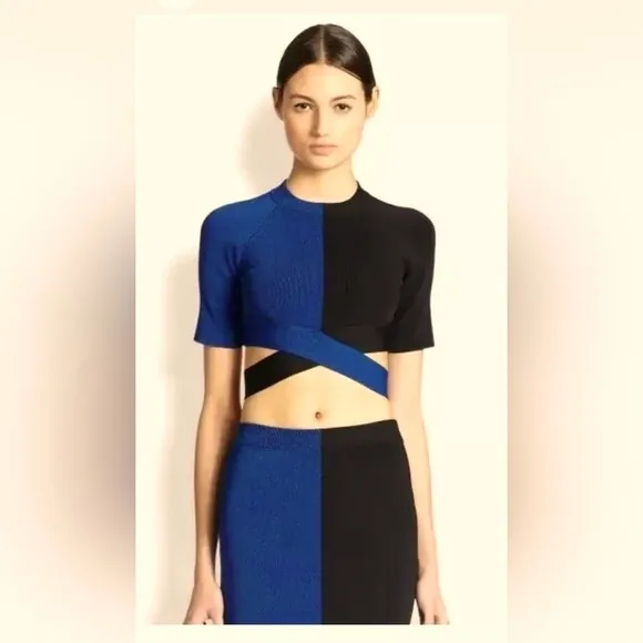 Alexander Wang Minimalist Designer Collection Colorblock Skirt Blue Black