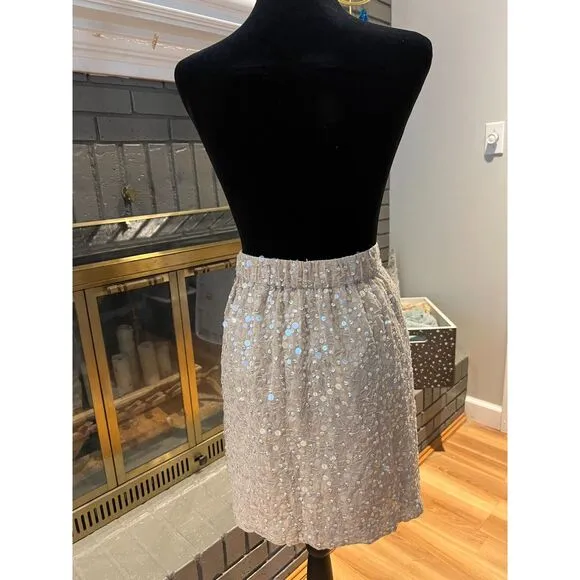 Ann Taylor Sequin Skirt