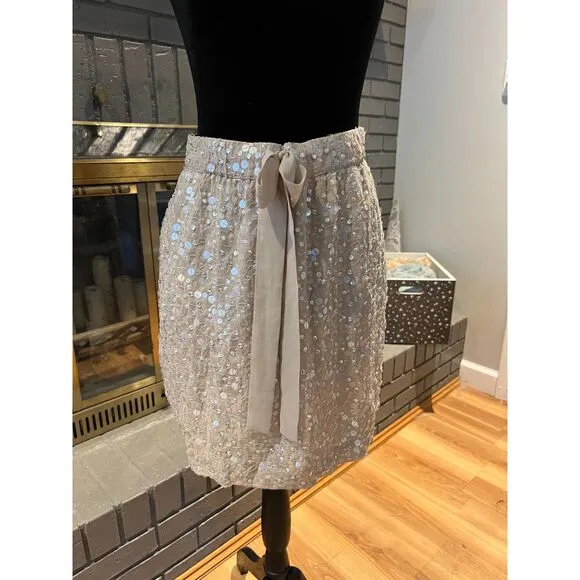 Ann Taylor Sequin Skirt