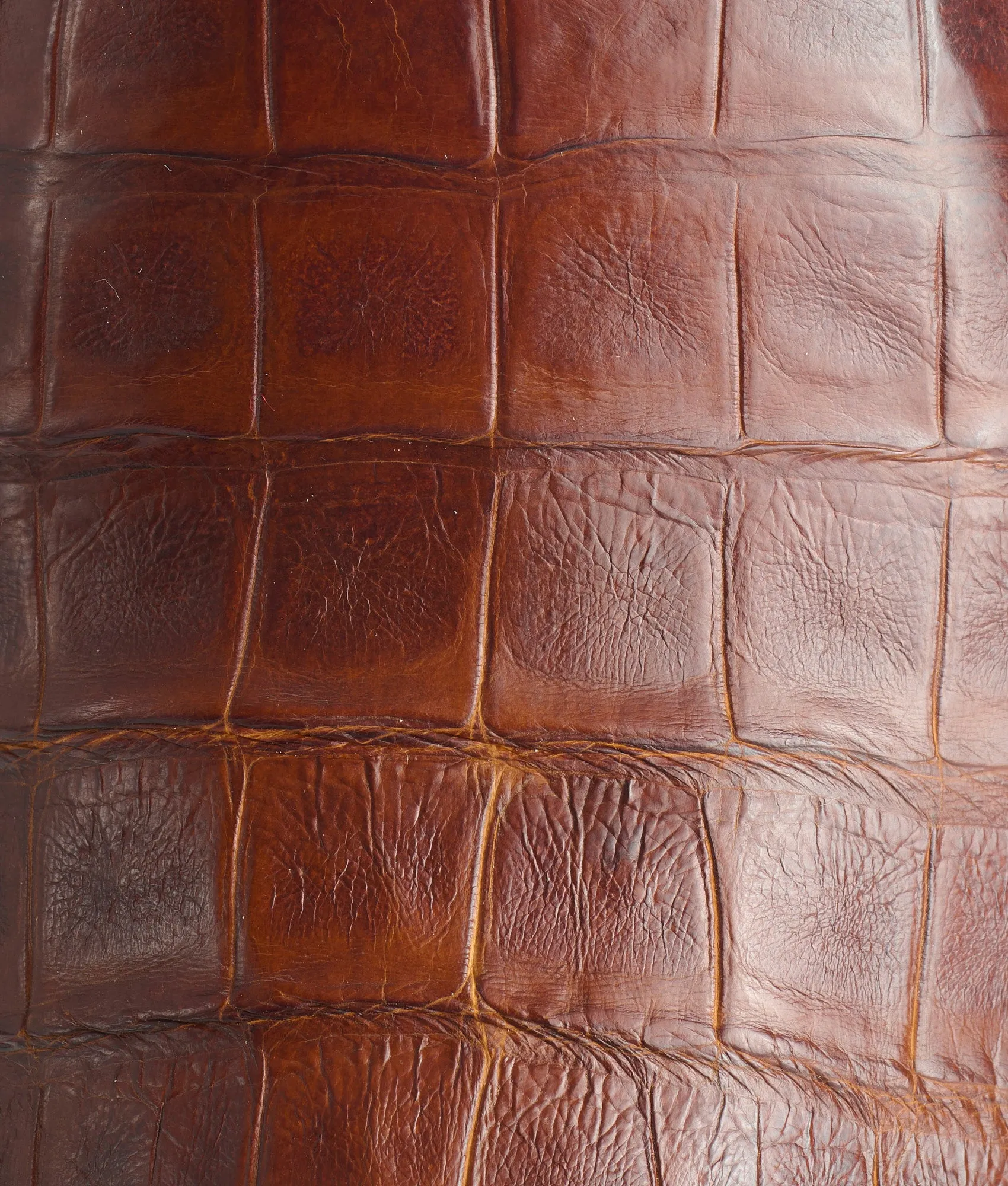 Buckaroo :: Cognac