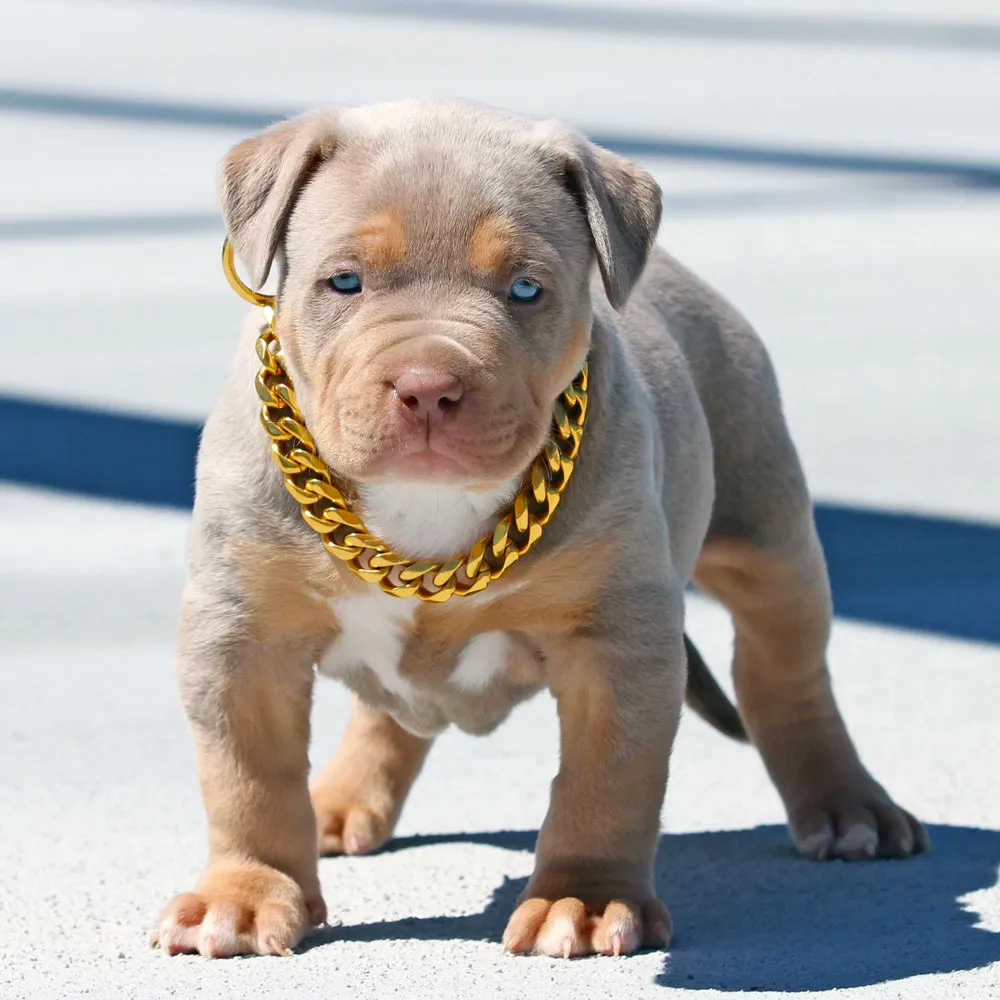Cuban Link Luxury Chain Collars