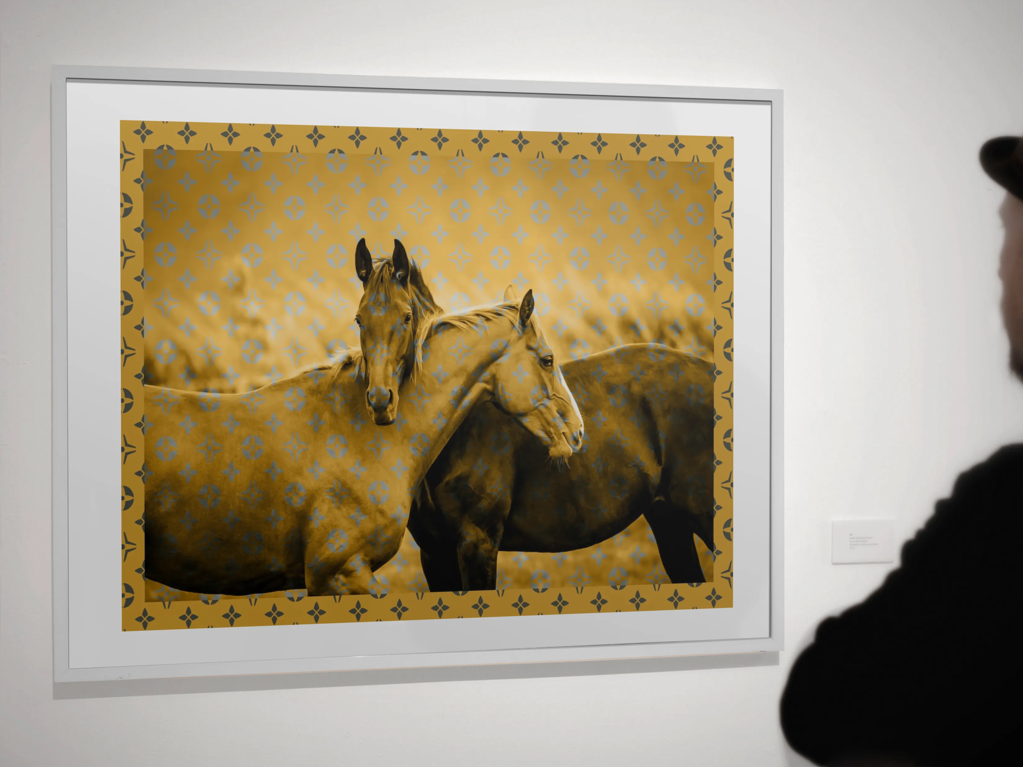 Designer Horses Framed Print