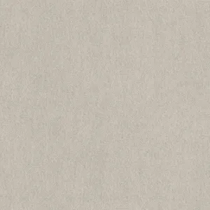 Fresh Plain Grey 46888 Wallpaper
