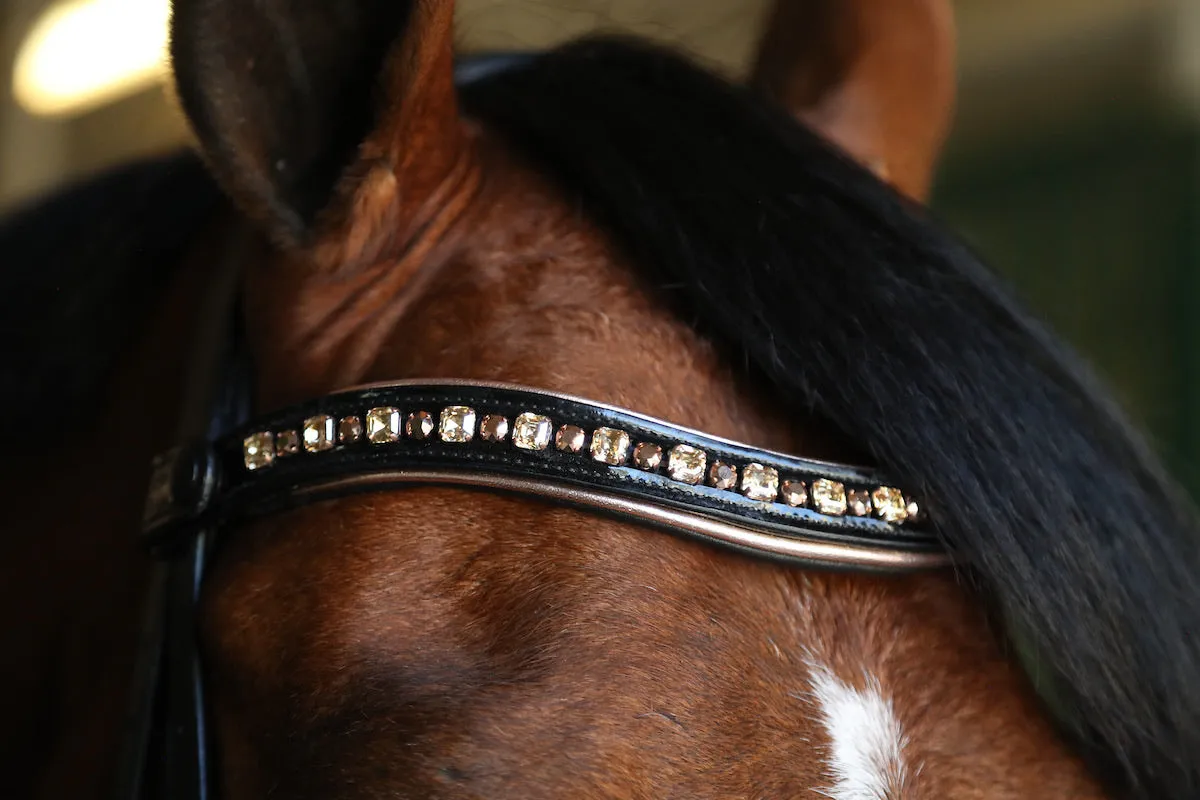 Halter Ego® Custom Browband | GIFT CARD