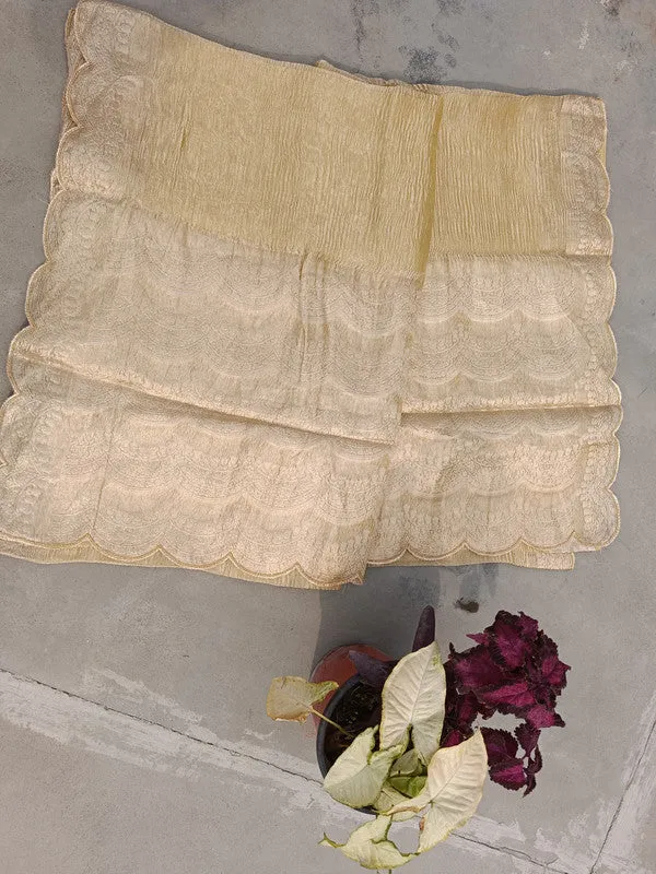 Latest and Exclusive Pure Banarasi Tissue Cutwork border Silk Saree