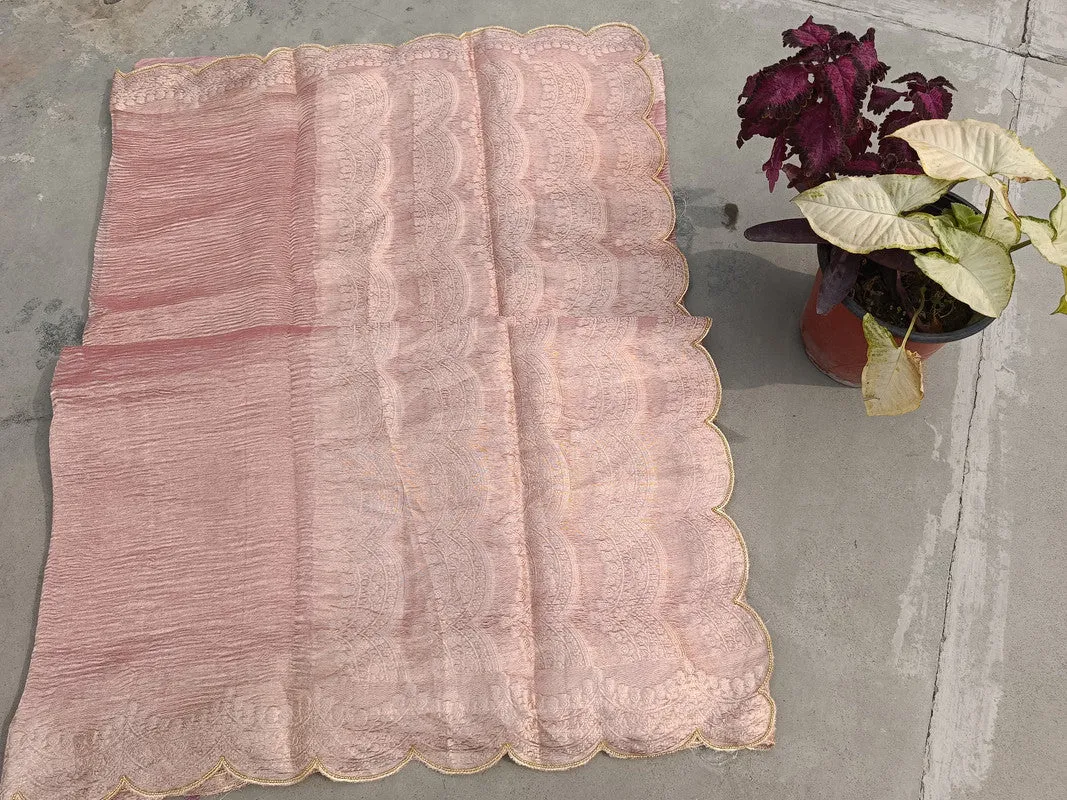 Latest and Exclusive Pure Banarasi Tissue Cutwork border Silk Saree