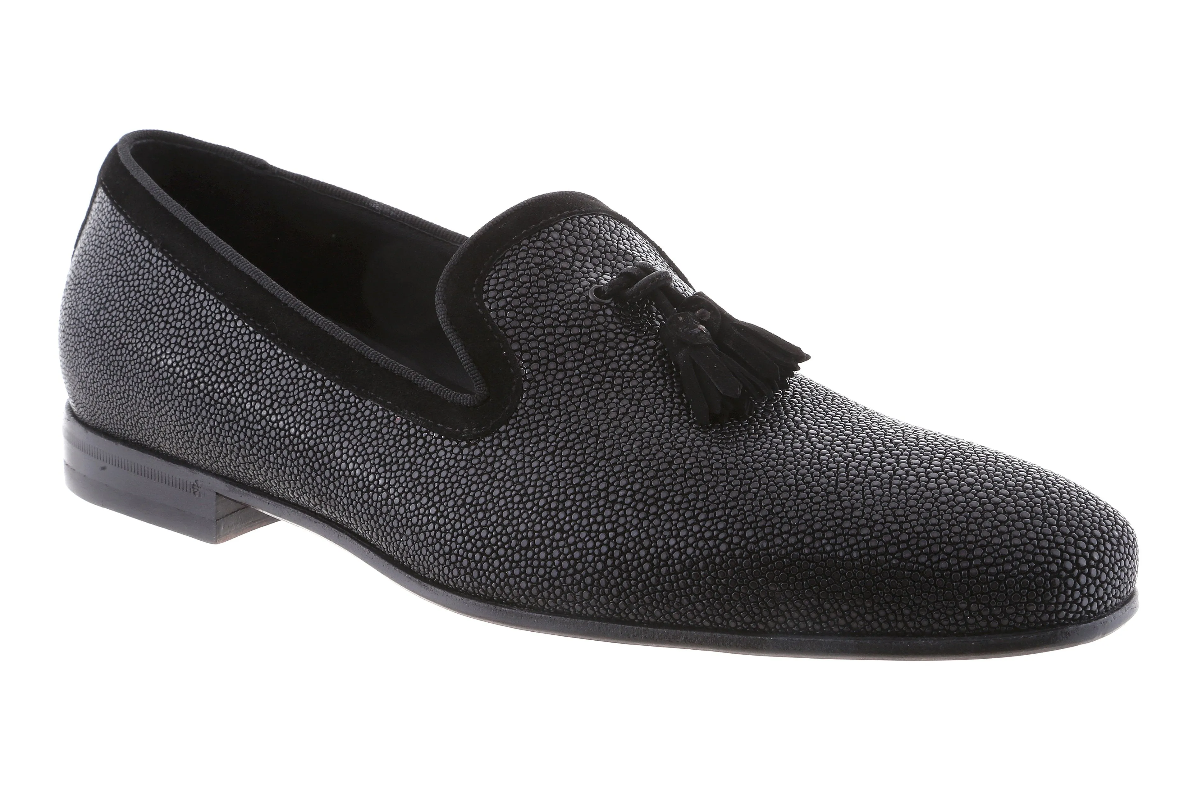 Marco - Black Stingray