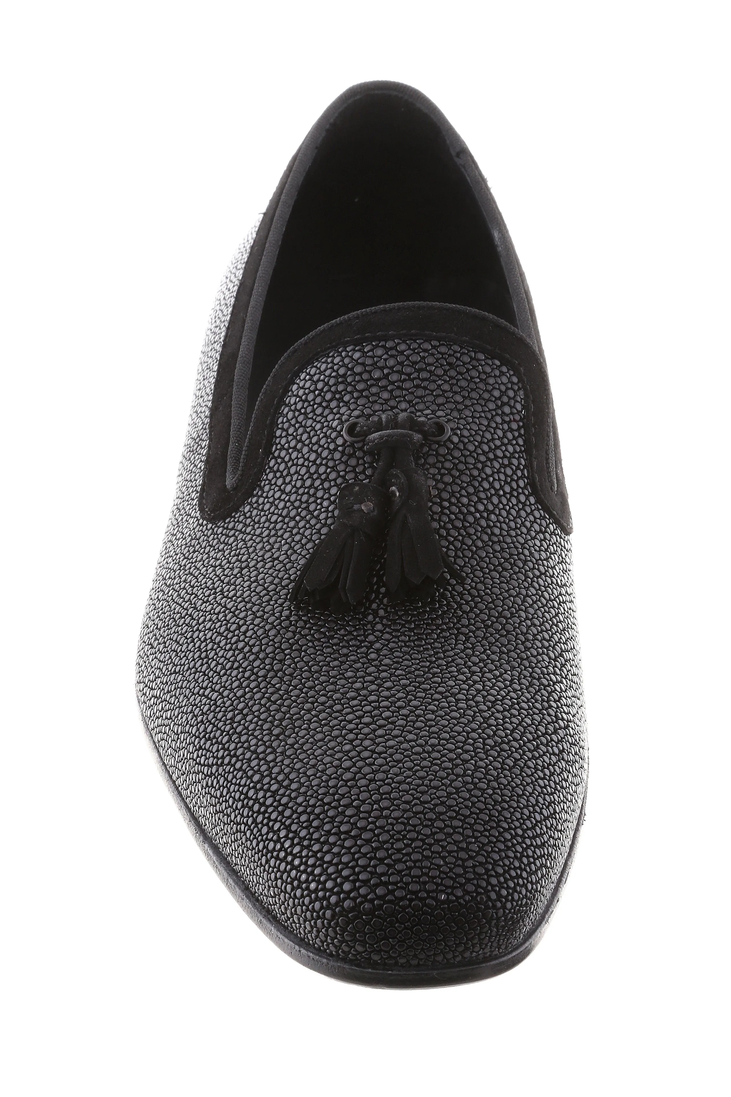 Marco - Black Stingray