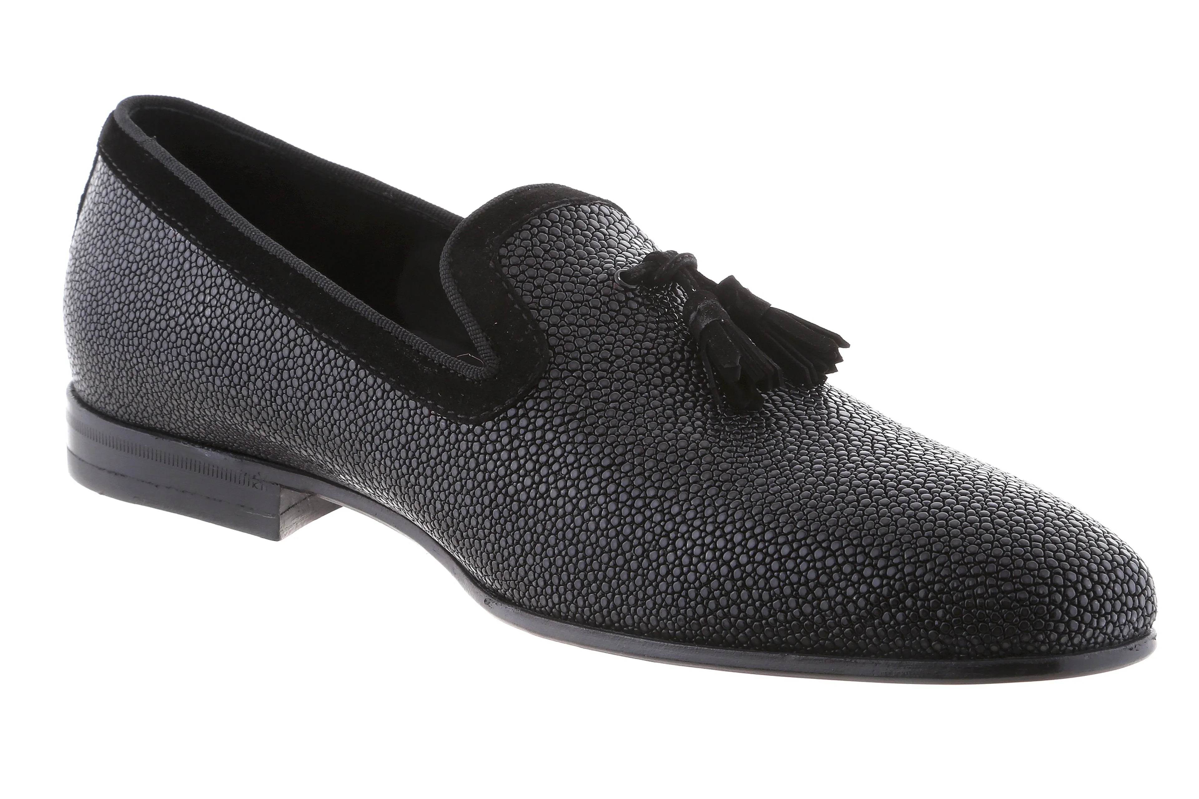 Marco - Black Stingray