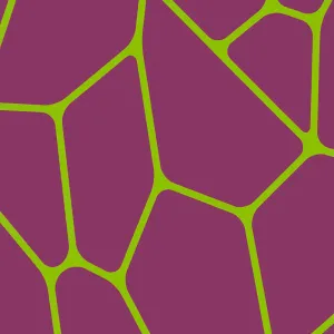 Modern Web Purple Green 255242 Wallpaper