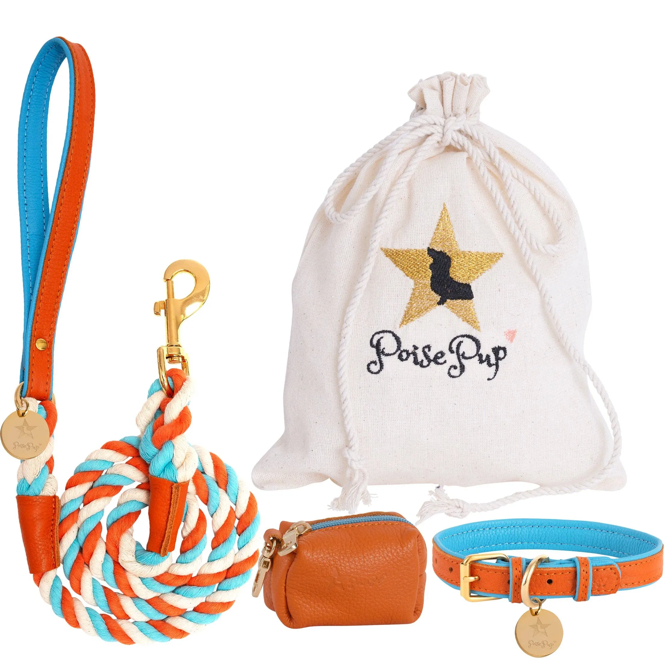 PoisePup - COLLAR - VIBRANT SUNSET