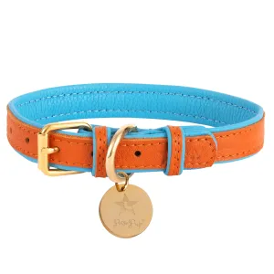 PoisePup - COLLAR - VIBRANT SUNSET