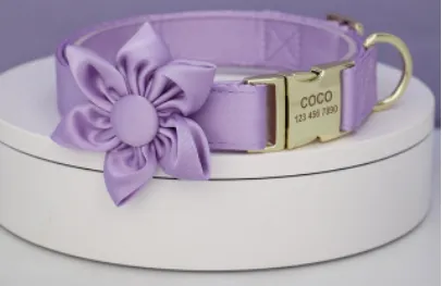 Purple Paradise Butterfly Collar With Flower - Personalized