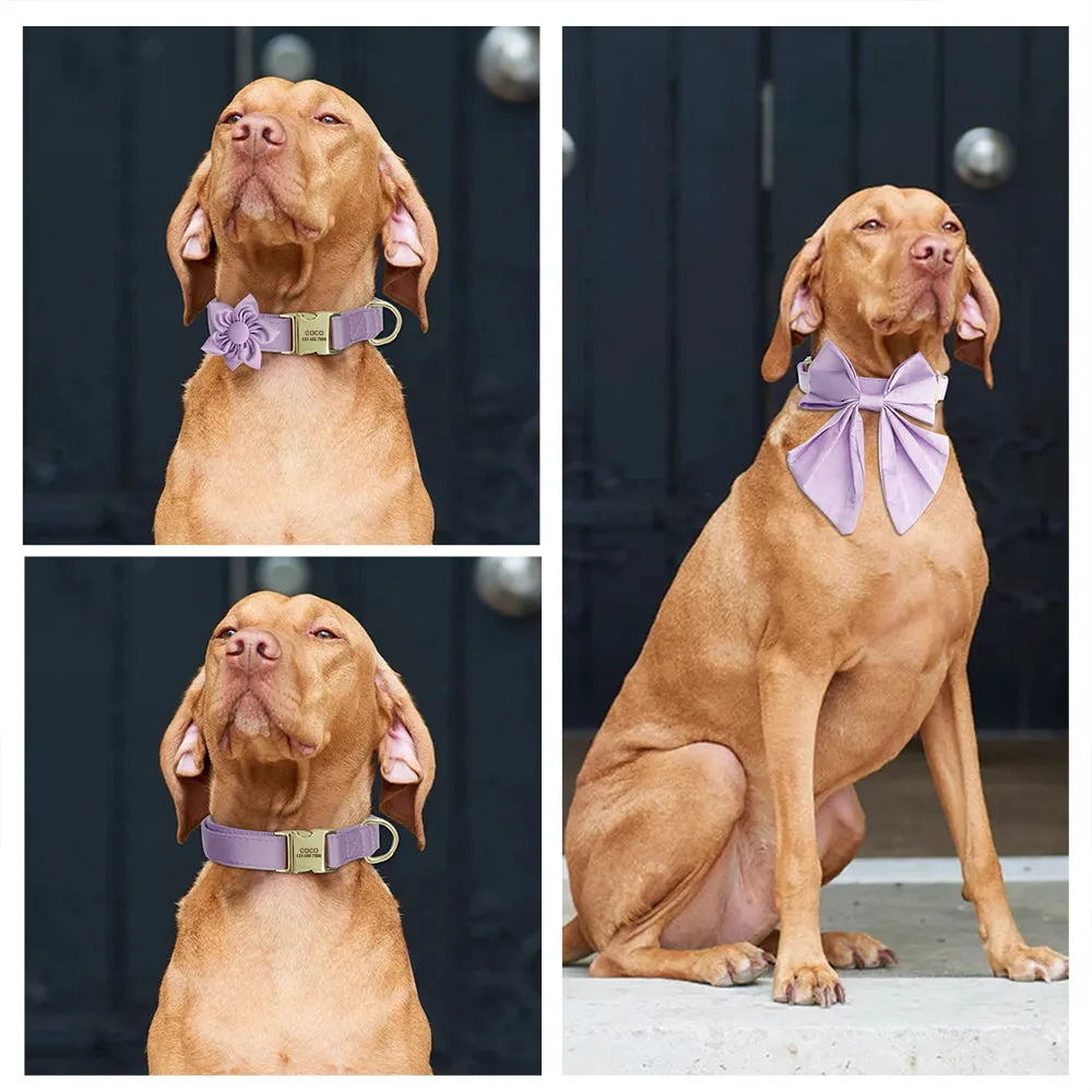Purple Paradise Butterfly Collar With Flower - Personalized