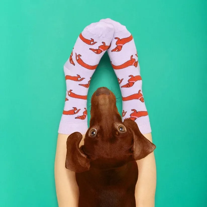 Socken "Dackel"