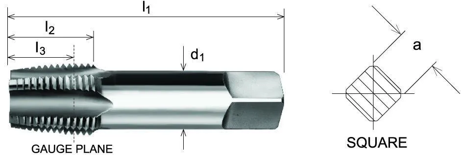 SOMTA - Series 575 HSS BSPT Tap 2" (Bottoming Lead, Taper Form)