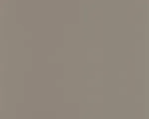 Textured Plain Taupe 805645 Wallpaper